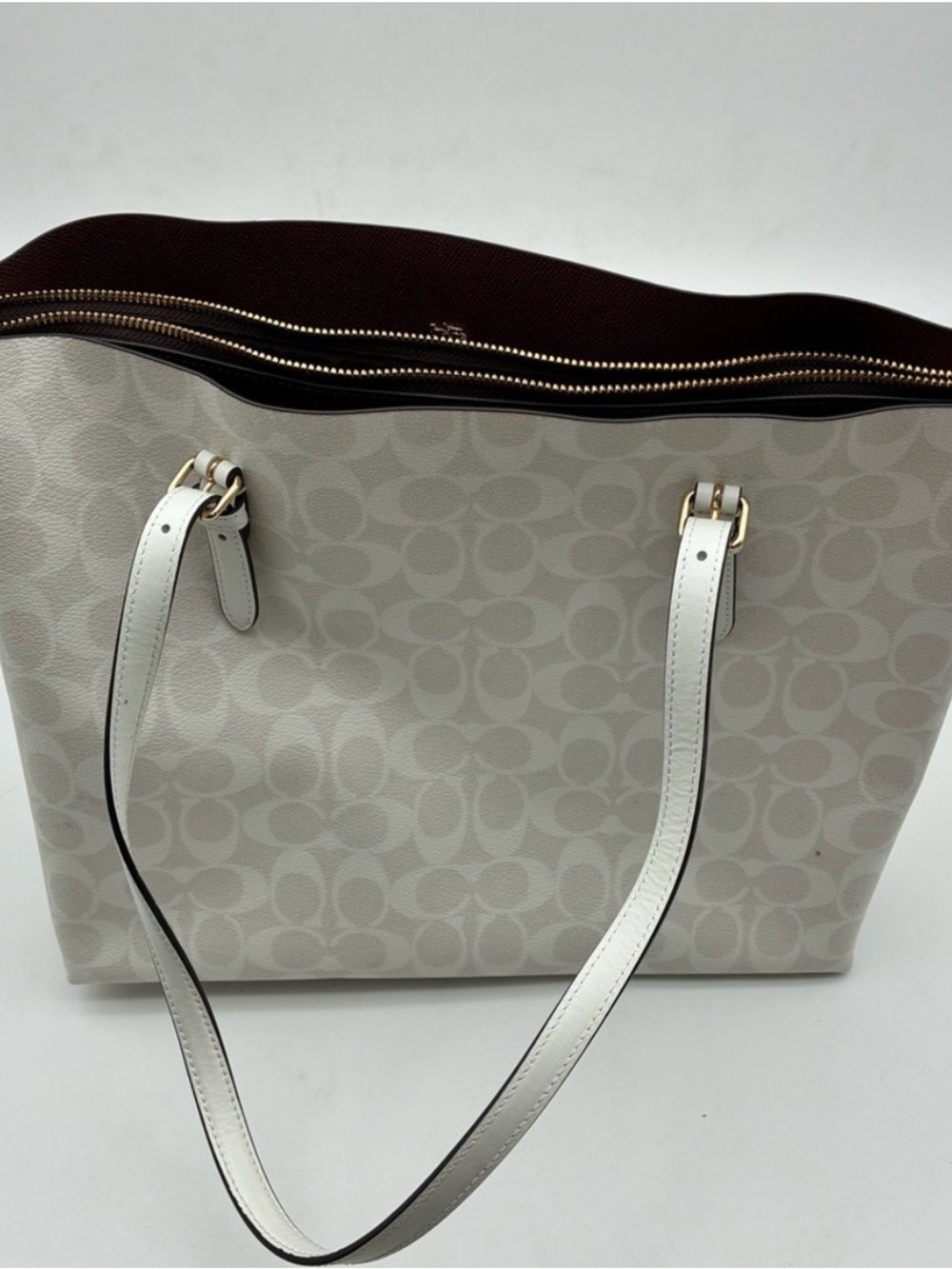 Coach Mollie Tote Bag